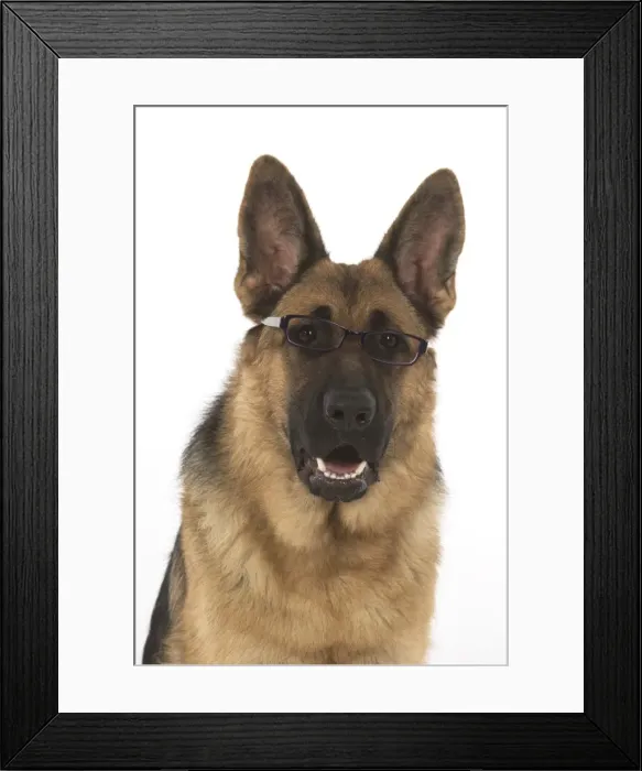 Framed Print : Picture No. 11772829 Framed Print : Picture No. 11772829