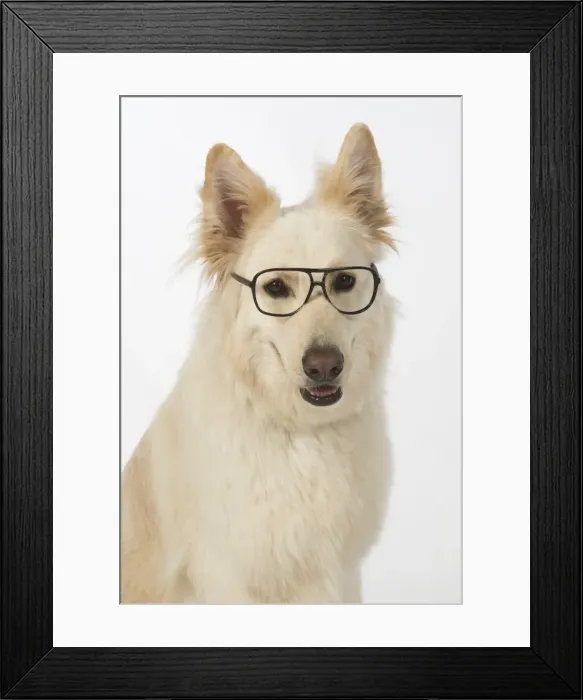 Framed Print : Picture No. 11772831 Framed Print : Picture No. 11772831