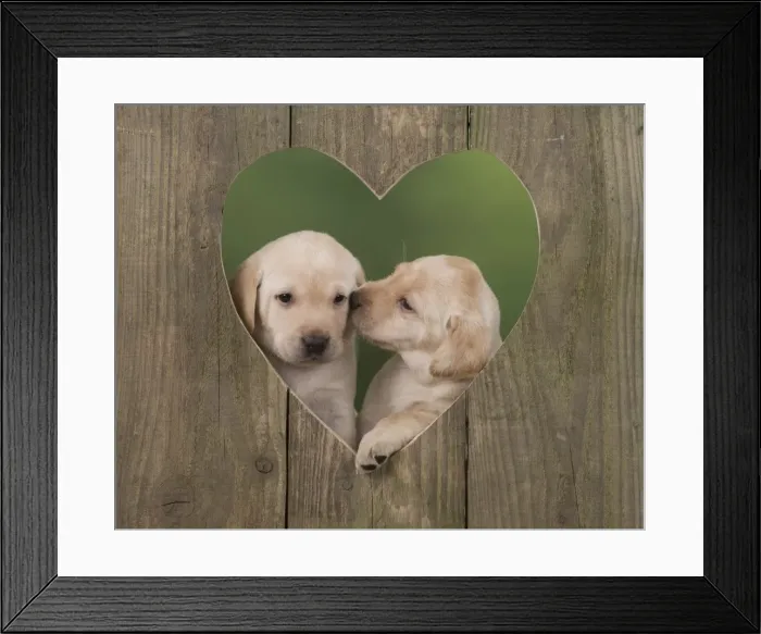 Framed Print : Picture No. 11772870 Framed Print : Picture No. 11772870