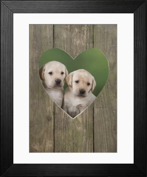 Framed Print : Picture No. 11772871 Framed Print : Picture No. 11772871