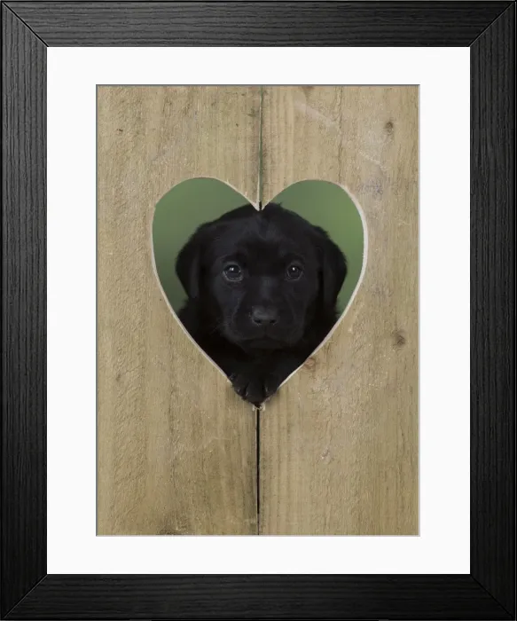 Framed Print : Picture No. 11772872 Framed Print : Picture No. 11772872