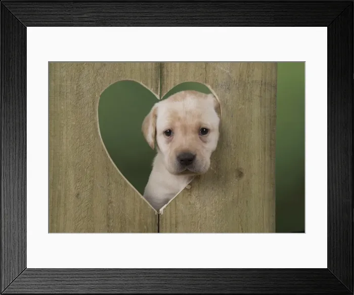 Framed Print : Picture No. 11772874 Framed Print : Picture No. 11772874