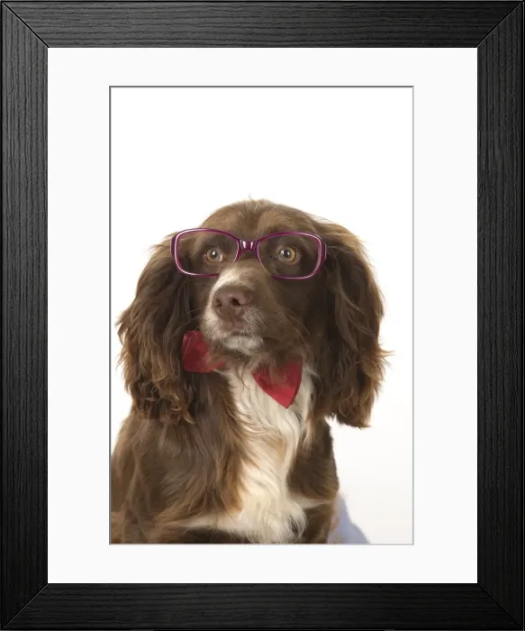 Framed Print : Picture No. 11772879 Framed Print : Picture No. 11772879
