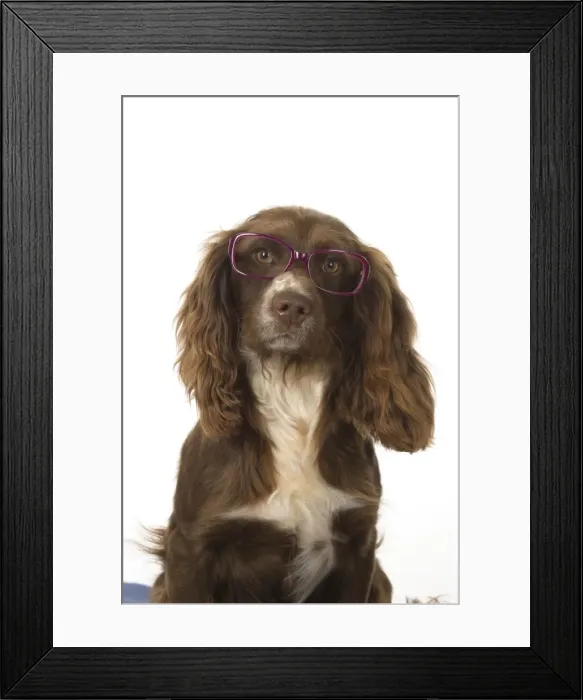 Framed Print : Picture No. 11772880 Framed Print : Picture No. 11772880