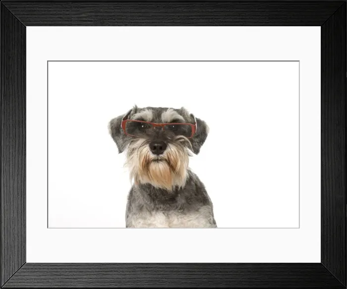 Framed Print : Picture No. 11772914 Framed Print : Picture No. 11772914