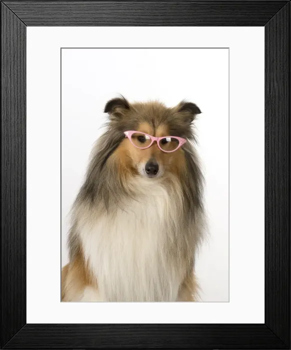 Framed Print : Picture No. 11772923 Framed Print : Picture No. 11772923