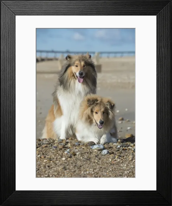 Framed Print : Picture No. 11772952 Framed Print : Picture No. 11772952