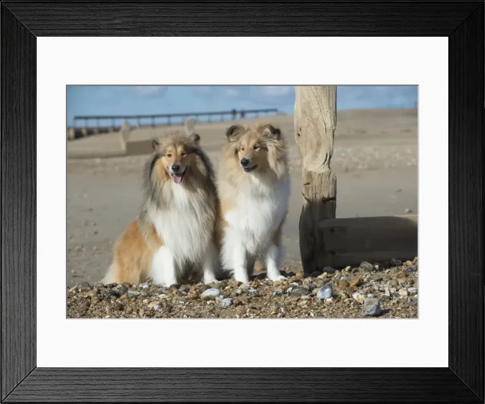 Framed Print : Picture No. 11772953 Framed Print : Picture No. 11772953
