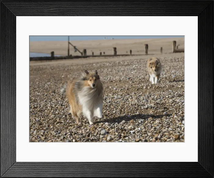 Framed Print : Picture No. 11772955 Framed Print : Picture No. 11772955