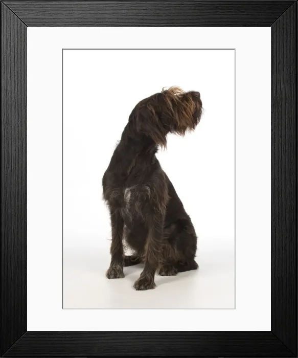 Framed Print : Picture No. 11772961 Framed Print : Picture No. 11772961