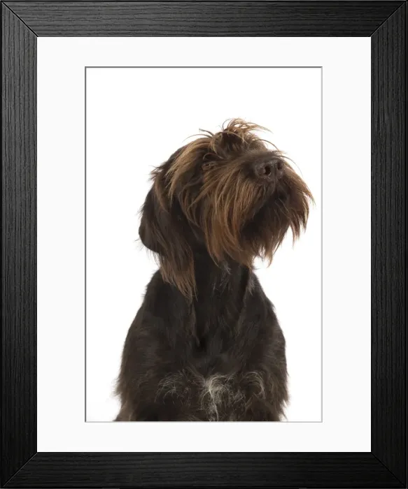 Framed Print : Picture No. 11772966 Framed Print : Picture No. 11772966