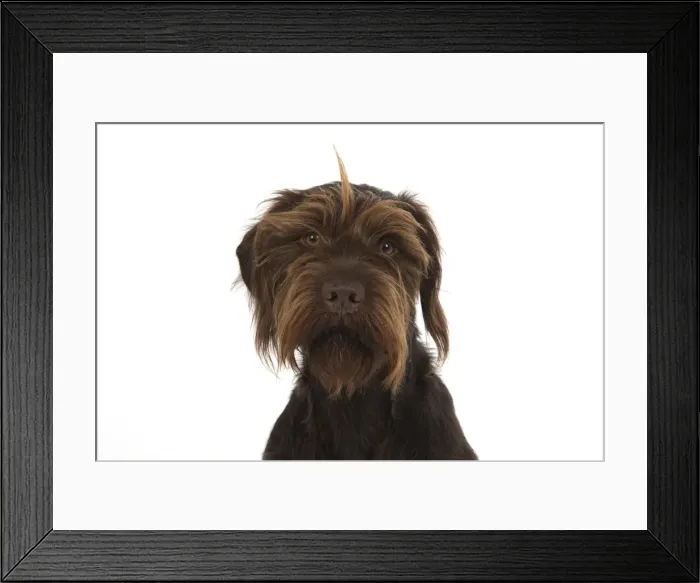 Framed Print : Picture No. 11772968 Framed Print : Picture No. 11772968