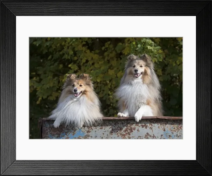 Framed Print : Picture No. 11772989 Framed Print : Picture No. 11772989