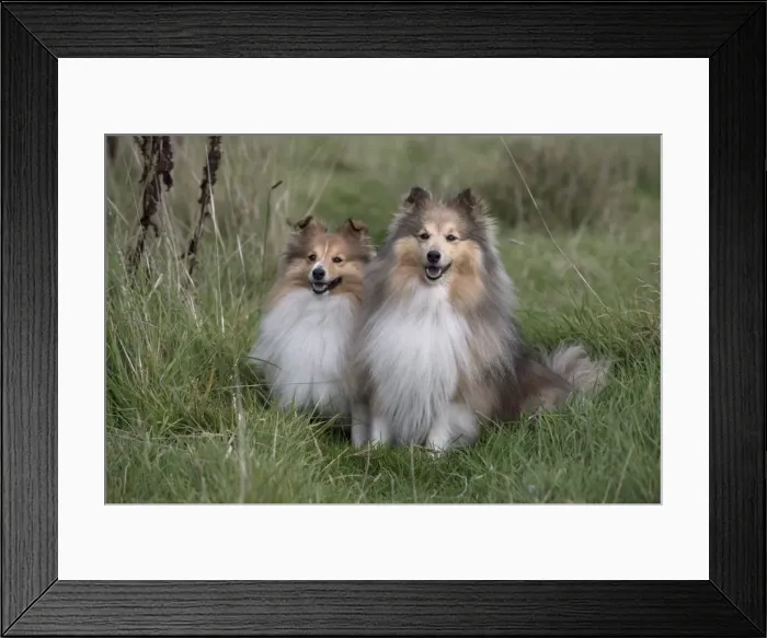Framed Print : Picture No. 11772990 Framed Print : Picture No. 11772990