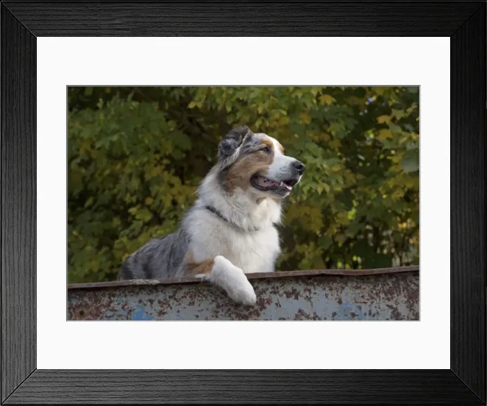 Framed Print : Picture No. 11773000 Framed Print : Picture No. 11773000
