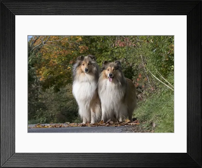 Framed Print : Picture No. 11773024 Framed Print : Picture No. 11773024