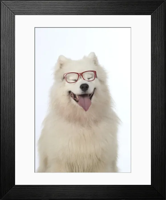 Framed Print : Picture No. 11773048 Framed Print : Picture No. 11773048