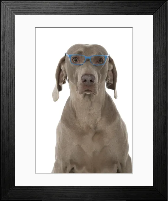 Framed Print : Picture No. 11773062 Framed Print : Picture No. 11773062