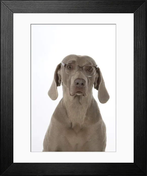 Framed Print : Picture No. 11773063 Framed Print : Picture No. 11773063