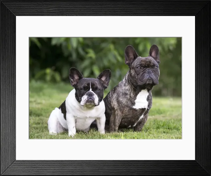Framed Print : Picture No. 11770486 Framed Print : Picture No. 11770486