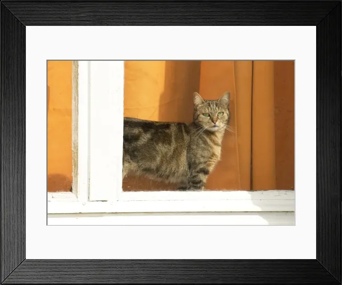 Framed Print : Picture No. 11770492 Framed Print : Picture No. 11770492