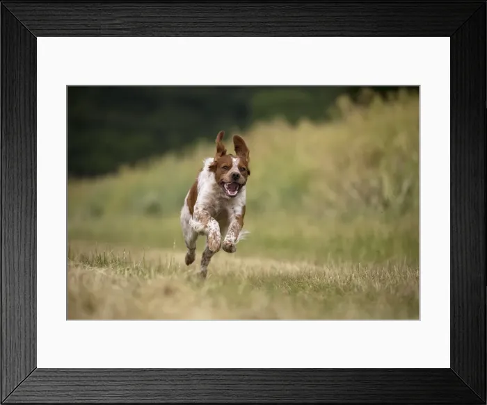 Framed Print : Picture No. 11770511 Framed Print : Picture No. 11770511