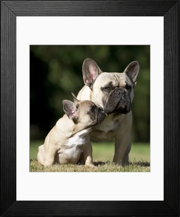 Framed Print : Picture No. 11770570 Framed Print : Picture No. 11770570