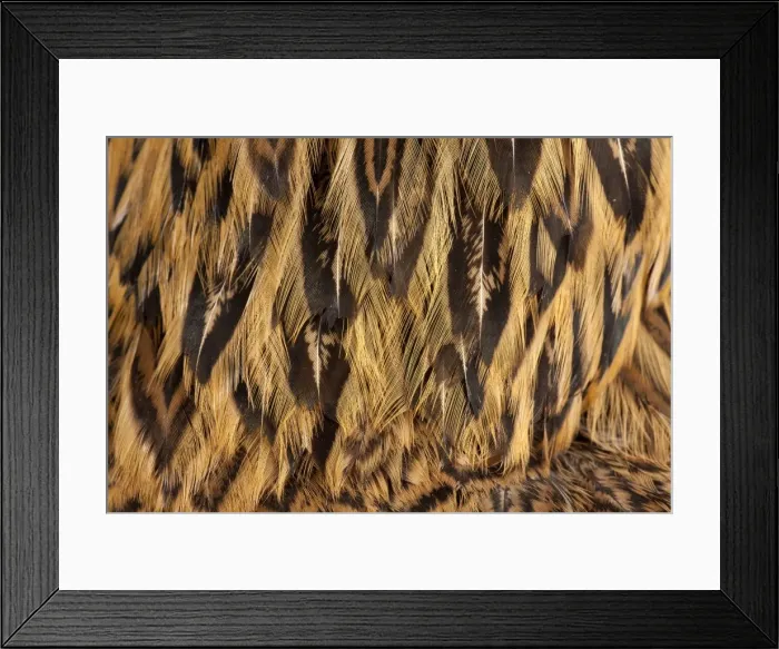 Framed Print : Picture No. 11770631 Framed Print : Picture No. 11770631