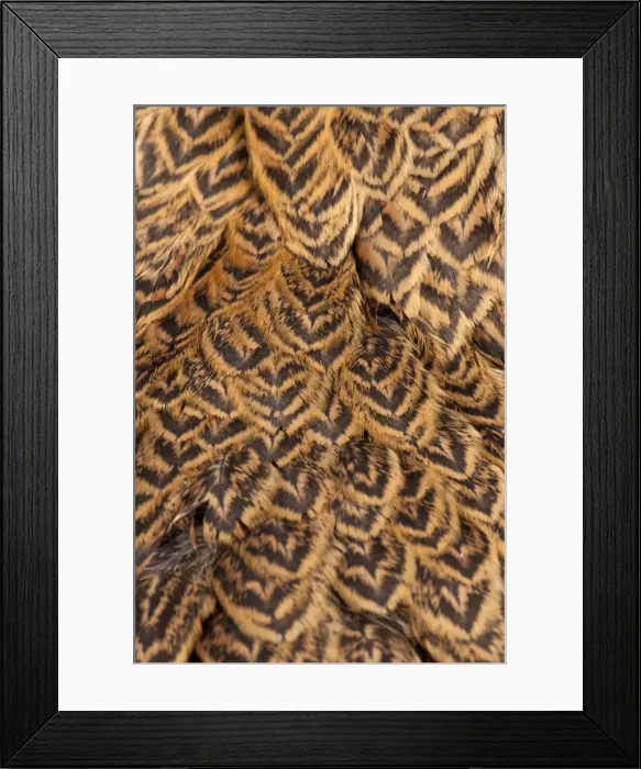 Framed Print : Picture No. 11770632 Framed Print : Picture No. 11770632