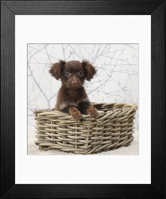 Framed Print : Picture No. 11770729 Framed Print : Picture No. 11770729