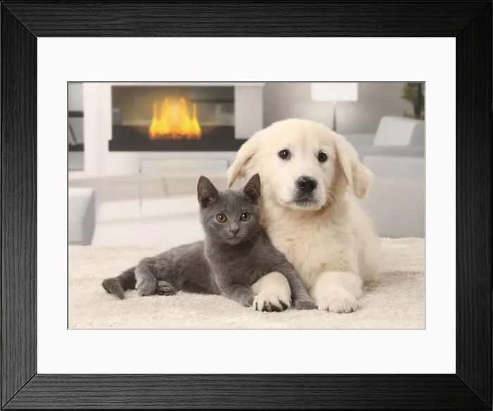 Framed Print : Picture No. 11770736 Framed Print : Picture No. 11770736