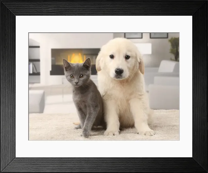 Framed Print : Picture No. 11770738 Framed Print : Picture No. 11770738