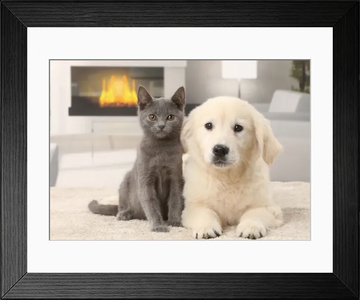 Framed Print : Picture No. 11770737 Framed Print : Picture No. 11770737