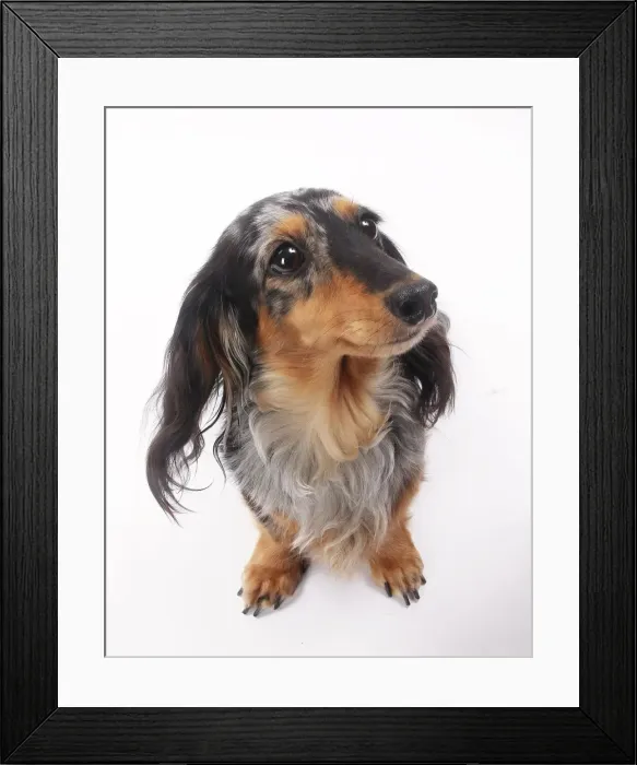 Framed Print : Picture No. 11770743 Framed Print : Picture No. 11770743