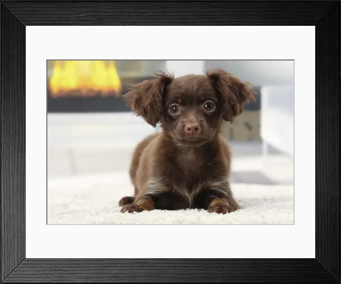 Framed Print : Picture No. 11770765 Framed Print : Picture No. 11770765