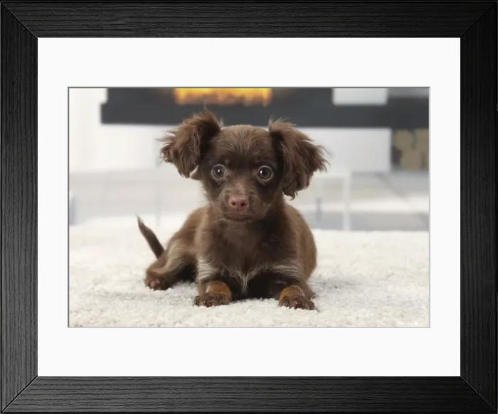 Framed Print : Picture No. 11770766 Framed Print : Picture No. 11770766