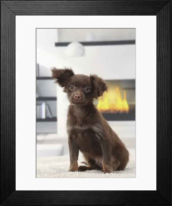 Framed Print : Picture No. 11770767 Framed Print : Picture No. 11770767