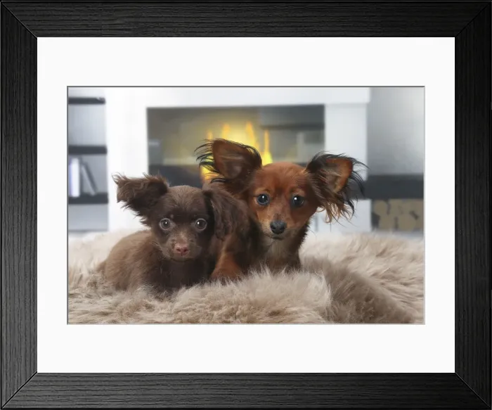 Framed Print : Picture No. 11770768 Framed Print : Picture No. 11770768