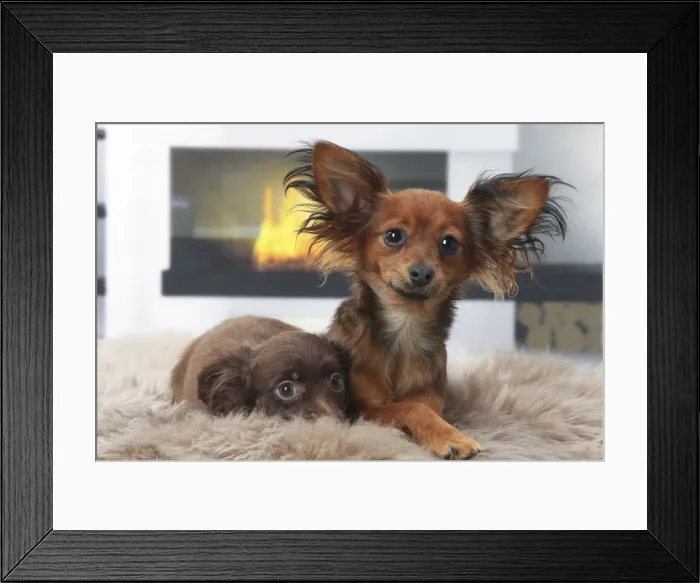Framed Print : Picture No. 11770769 Framed Print : Picture No. 11770769