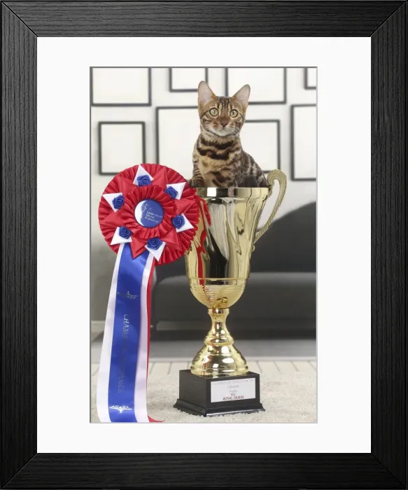 Framed Print : Picture No. 11770770 Framed Print : Picture No. 11770770