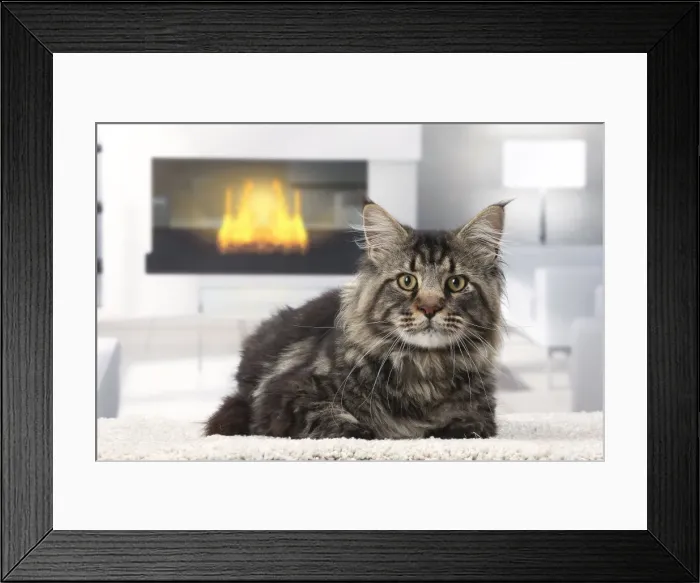 Framed Print : Picture No. 11770775 Framed Print : Picture No. 11770775