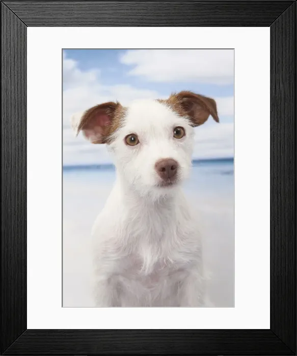 Framed Print : Picture No. 11770776 Framed Print : Picture No. 11770776