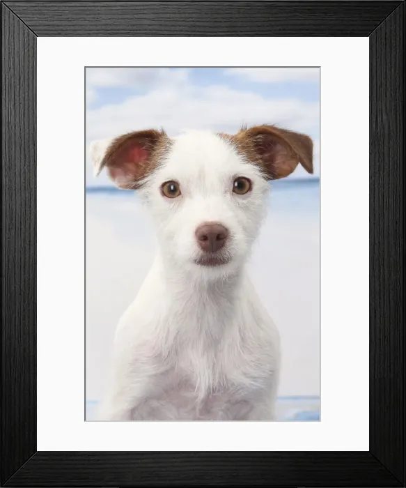 Framed Print : Picture No. 11770778 Framed Print : Picture No. 11770778