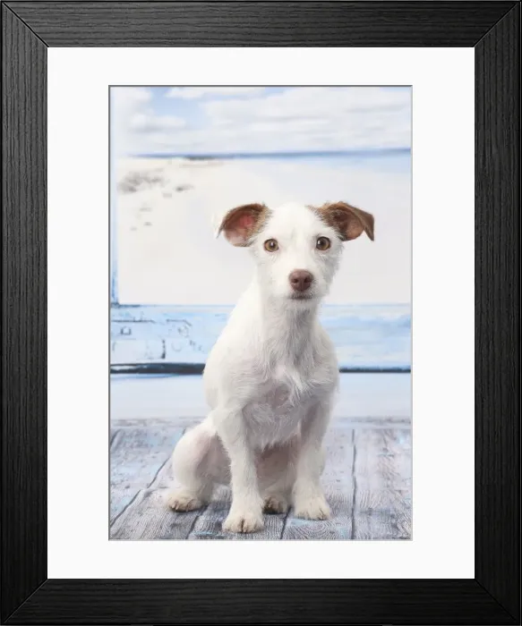 Framed Print : Picture No. 11770783 Framed Print : Picture No. 11770783