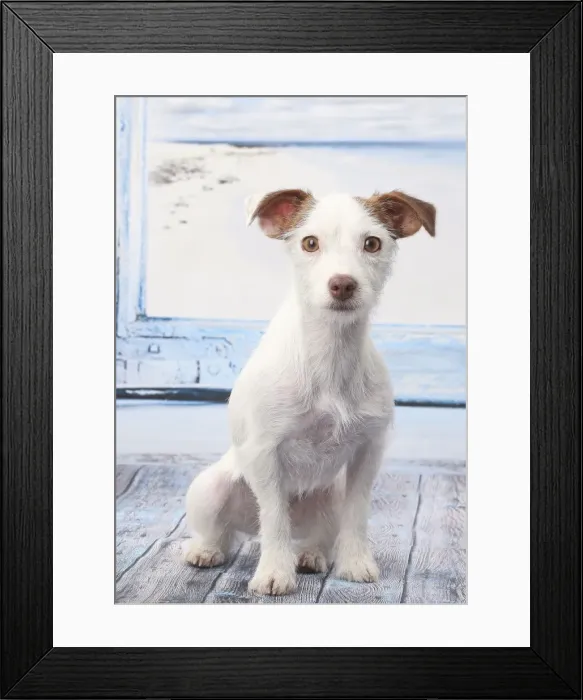 Framed Print : Picture No. 11770784 Framed Print : Picture No. 11770784