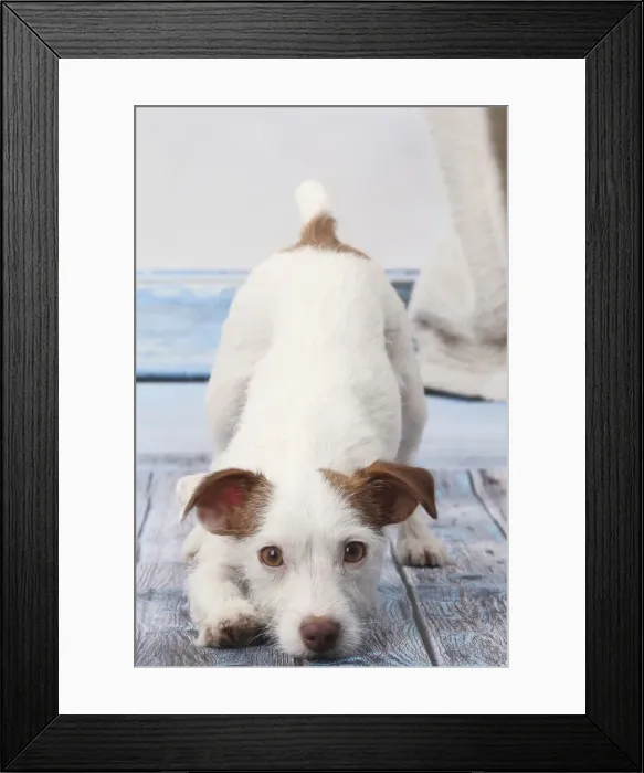 Framed Print : Picture No. 11770781 Framed Print : Picture No. 11770781