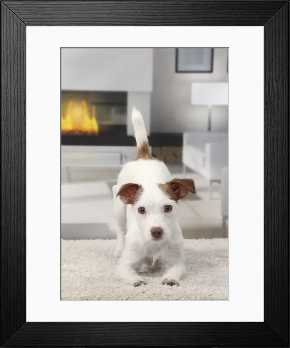 Framed Print : Picture No. 11770786 Framed Print : Picture No. 11770786