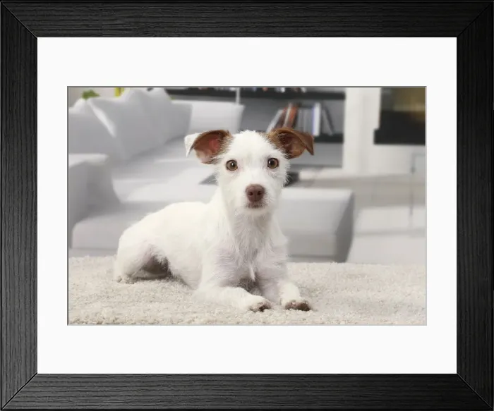 Framed Print : Picture No. 11770787 Framed Print : Picture No. 11770787
