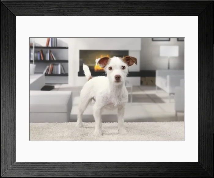 Framed Print : Picture No. 11770785 Framed Print : Picture No. 11770785