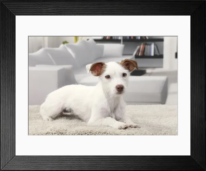 Framed Print : Picture No. 11770791 Framed Print : Picture No. 11770791